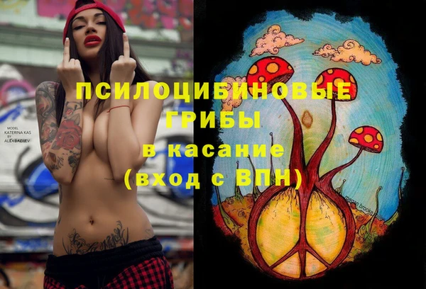 эйфоретик Аркадак