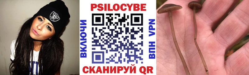 Псилоцибиновые грибы прущие грибы  что такое   Теберда 